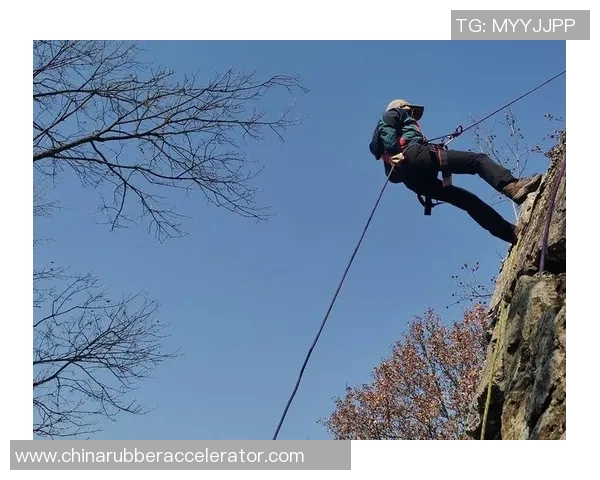 南京攀岩队技术表现数据分析揭示训练效果与未来发展方向