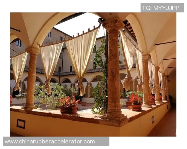 对话陈强：回顾足球生涯的起伏与梦想追寻