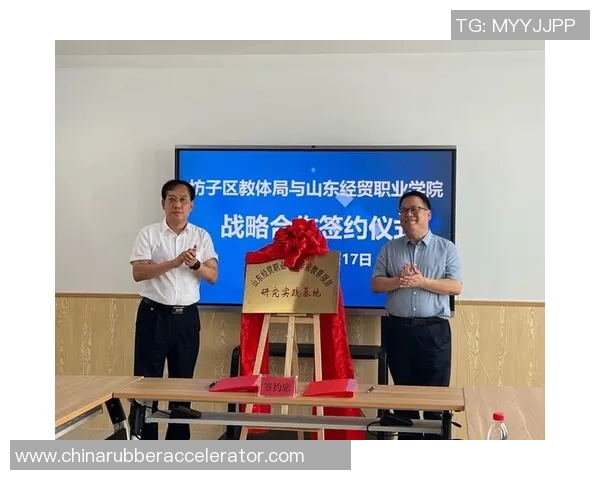 张强专访揭秘和平精英成功秘诀与未来发展战略分析