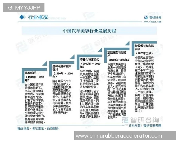 杭州羽毛球队状态深度对比分析及未来发展趋势探讨 杭州羽毛球队状态深度对比分析及未来发展趋势探讨