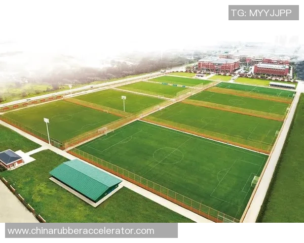 武汉足球队灵活性创新高引发关注助力球队崛起与发展