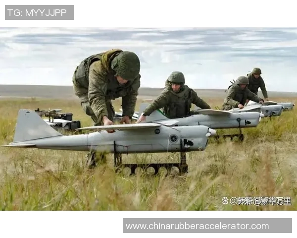 武汉飞盘队阵地战分析：胜负背后的战术与团队协作探讨