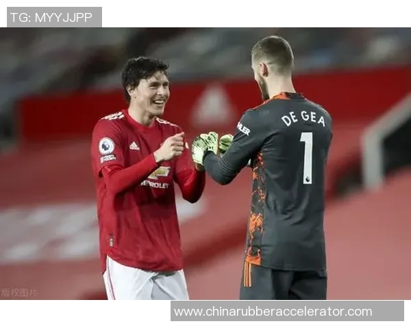 利兹与伯明翰比赛数据深度分析及战术对比探讨