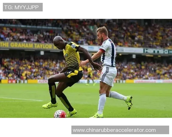 西布罗对阵水晶宫直播全程回顾与精彩瞬间分析