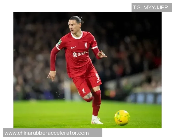 努涅斯在赛季中的崛起与挑战分析，展望未来的足球生涯与发展潜力